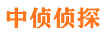 龙马潭市调查公司